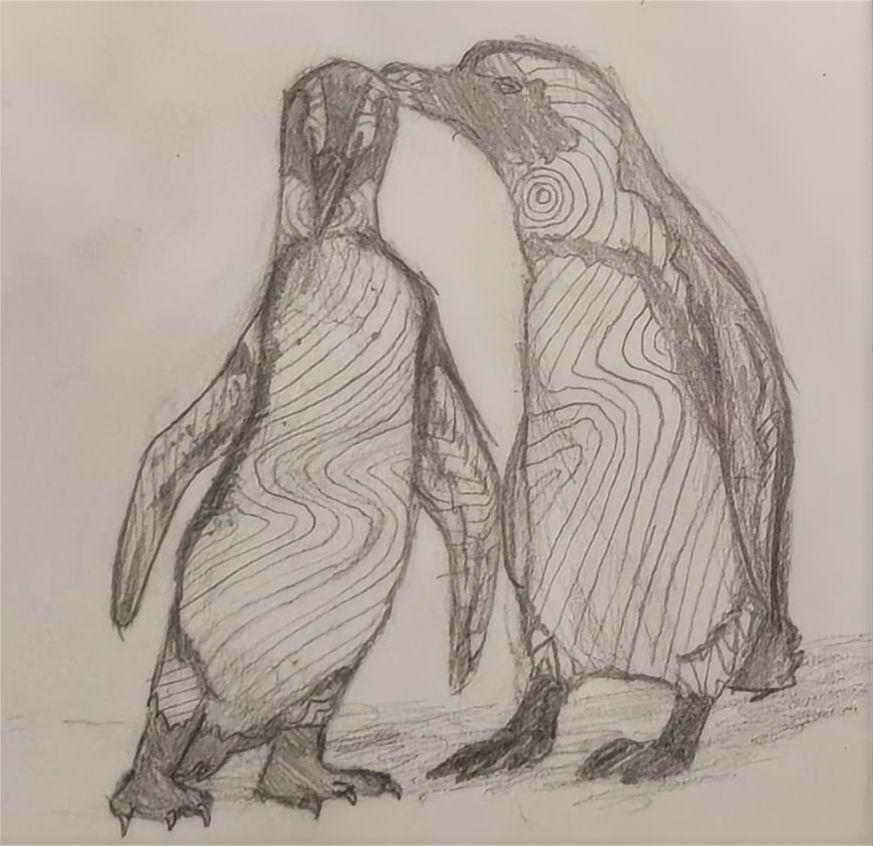penguin sketch